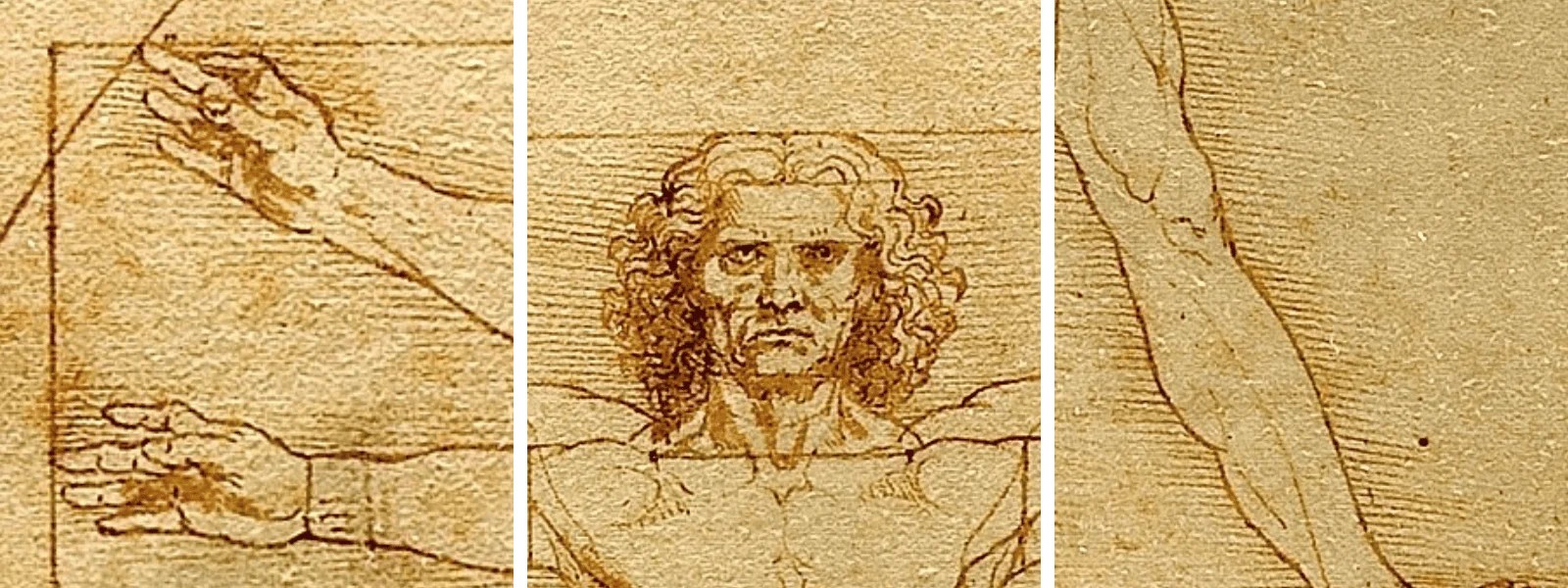 Leonardo da Vinci's Vitruvian Man